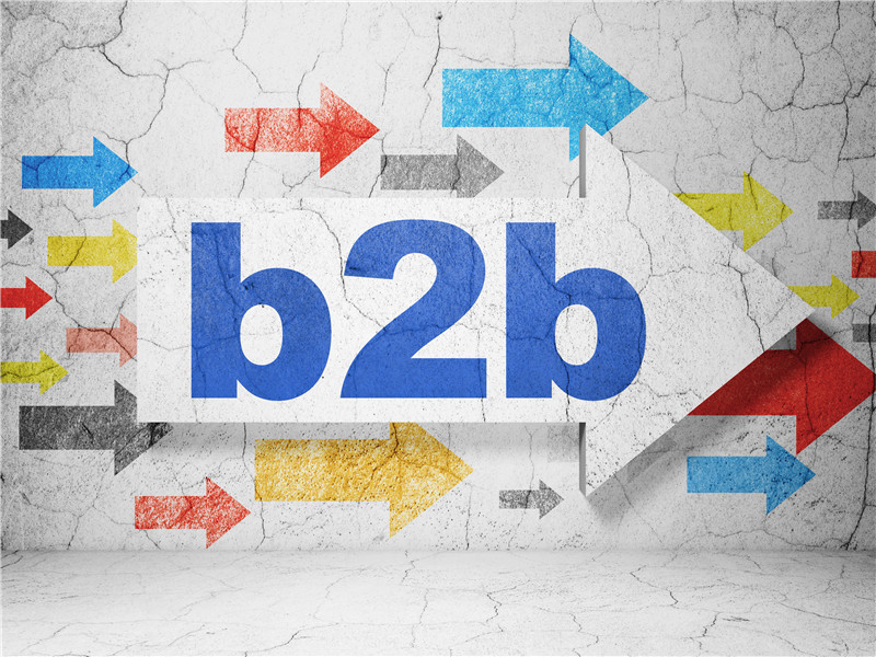 重塑B2B商业生态：探索B2B平台的无限可能